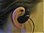 Ear Loop Headset for K1 2 Prong (CAVALIER EMP611TK208)